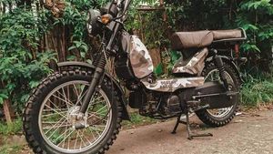 രൂപംമാറി മിടുക്കനായി ടിവിഎസ് XL100