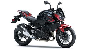 പുതുമയോടെ 2021 മോഡൽ Z250 ബൈക്കിനെ പരിചയപ്പെടുത്തി കവസാക്കി 