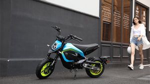 കാണാൻ ഏറെ കൗതുകം; മിനോ മങ്കി ബൈക്കിനെ പരിചയപ്പെടുത്തി ട്രോമോക്‌സ്