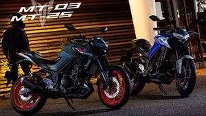 പരിഷ്കരിച്ച 2021 MT-25, MT-03 ബൈക്കുകൾ പുറത്തിറക്കി യമഹ