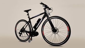 കണക്റ്റഡ് സവിശേഷതയുള്ള ആദ്യത്തെ ഇലക്ട്രിക് സൈക്കിൾ; പരിചയപ്പെടാം പെഡലീസ് മോഡലുകളെ