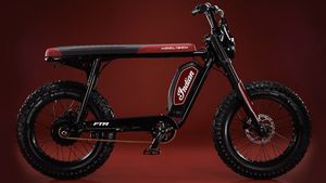 eFTR Hooligan; നേക്കഡ് ലുക്കിൽ പുത്തൻ ഇലക്ട്രിക് ബൈക്ക് അവതരിപ്പിച്ച് Indian Motorcycle