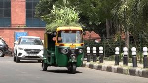 ചൂടിനെ പ്രതിരോധിക്കാൻ ചെടികൾ! ഓട്ടോറിക്ഷയ്ക്ക് മുകളിൽ മിനി ഗാർഡൻ സജ്ജമാക്കി ഡ്രൈവർ