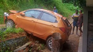 'ബാന്‍ഡ് എയ്ഡ് പോലും വേണ്ടിവന്നില്ല';  ടാറ്റക്ക് നന്ദി പറഞ്ഞ് 25 അടി താഴ്ചയിലേക്ക് പതിച്ച ടിയാഗോ  ഉടമ