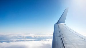 വിമാനത്തിൻ്റെ ചിറകിലെ Winglets എന്താണെന്നറിയാമോ ഗയ്സ്