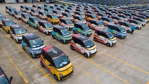 G20 ഉച്ചകോടിയുടെ ഔദ്യോഗിക വാഹനമായി വുലിംഗ് എയർ ഇവി