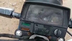 സീല്‍ക്കാരം കേട്ട് ബൈക്ക് സൈഡാക്കി; സ്പീഡോമീറ്ററിനുള്ളില്‍ കണ്ടത് ഉഗ്രന്‍ വിഷപ്പാമ്പിനെ-VIDEO