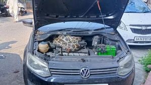 Polo-യുടെ എഞ്ചില്‍ ബേയില്‍ 'റെസ്റ്റ്' എടുത്ത് കൂറ്റന്‍ പെരുമ്പാമ്പ്; കണ്ടെത്തിയത് സര്‍വീസിനിടെ