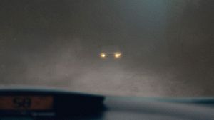 മീശപ്പുലി മലയിൽ മഞ്ഞ് വീഴുന്നത് കണ്ടിട്ടുണ്ടോ?കണ്ടിട്ടില്ലേലും മഞ്ഞ്ക്കാലത്ത് ഈ കാര്യങ്ങൾ ശ്രദ്ധിക്കണം