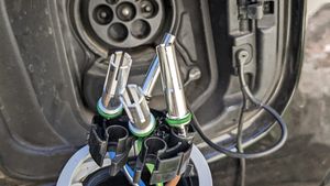 ചാർജിങ്ങ് ഇഷ്ടപ്പെട്ടു, നെക്സോൺ ഇവിയുടെ ചാർജർ പശു കടിച്ചെടുത്തു