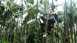 ഒരു ലിറ്റർ പെട്രോളിൽ 70 മുതൽ 80 മരം വരെ; വീഡിയോ വൈറൽ