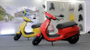 വില കൂടുന്നതിന് മുമ്പ് ഇരച്ചെത്തി ജനങ്ങള്‍; ഓലക്ക് റെക്കോഡ് വില്‍പ്പന