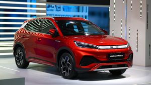 'ഇന്ത്യക്ക് വേണ്ടെങ്കിലും BYD-യെ ഞങ്ങള്‍ക്ക് വേണം'; ഇരുകൈയ്യും നീട്ടി സ്വീകരിക്കാന്‍ ഈ ഏഷ്യന്‍ രാജ്യം