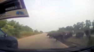 ഡാഷ് ക്യാമുണ്ടെങ്കിലുള്ള ഉപകാരം ചില്ലറയല്ല; ഹൈവേകളില്‍ പണം പോകുന്ന വഴി കാണില്ലാട്ടോ...