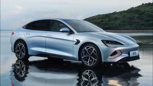 കേന്ദ്ര സർക്കാർ ഉടക്കിൽ തന്നെ, ഈ 700 കി.മീ. റേഞ്ചുള്ള ചൈനീസ് കാറിന്റെ വരവ് ഇമ്മിണി വൈകും