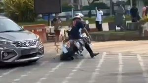 വീണിതല്ലോ കിടക്കുന്ന ഹാർലി; സിഗ്നൽ തെറ്റിക്കുന്നവർ ഇതു കാണുക; വീഡിയോ വൈറൽ