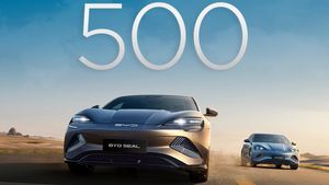 15 ദിവസത്തിൽ വാങ്ങാനെത്തിയത് 500 പേർ, 650 കി.മീ. റേഞ്ചുള്ള ഇലക്‌ട്രിക് കാർ ഇന്ത്യയിലും ഹിറ്റ്