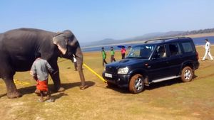 'വലിച്ചു കയറ്റാനേ സ്കോർപിയോ'! ചെളിയിൽ കുടുങ്ങിയ സ്കോർപിയോയ്ക്ക് ഒരു തുമ്പികൈ സഹായം