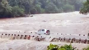 കൊഴുപ്പിന്റെ അസുഖമായിരുന്നില്ല, ജീവന്റെ തുടിപ്പിനായുള്ള നെട്ടോട്ടമായിരുന്നു; പുഴ കടന്ന ആൾട്ടോക്ക് പറയാനുള്ളത്