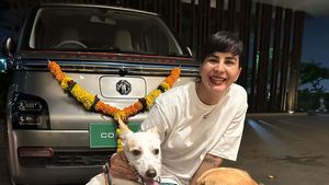 കോടികള്‍ പൊടിക്കണ്ട, സെലിബ്രിറ്റികള്‍ 6.99 ലക്ഷത്തിന്റെ ഈ ഇവിക്ക് പിന്നാലെ! പുതുതായി വാങ്ങിയത് ഈ സുന്ദരി