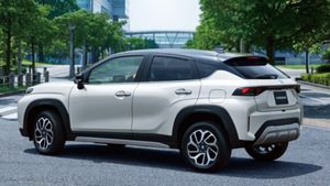 പ്രതീക്ഷിച്ചതിനേക്കാള്‍ 9 മടങ്ങ് വില്‍പ്പന! ജപ്പാനില്‍ ബെസ്റ്റ് സെല്ലറായി 'ഇന്ത്യന്‍' കാര്‍