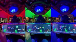 ഈ ഓട്ടോയിൽ കയറിയാൽ പിന്നെ ഇറങ്ങാനേ തോന്നില്ല; റോൾസ് റോയ്സിൽ പോലും ഈ സെറ്റപ്പ് കാണില്ല