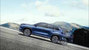 വാങ്ങാൻ ആളില്ലേ? 26.6 കിലോമീറ്റർ മൈലേജുള്ള എസ്‌യുവി ആരോടും പറയാതെ നിർത്തലാക്കി നിർത്തലാക്കി മാരുതി