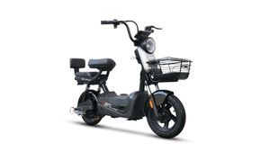 ബാറ്ററി തീര്‍ന്നാലും 'നോ പ്രോബ്ലം', ഓടിക്കോളും! സ്മാര്‍ട് ഫോണിന്റെ വിലയില്‍ വാങ്ങാം ഈ ക്യൂട്ട് ഇവി