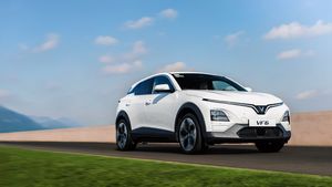 വിടരും മുൻപേ കൊഴിയുമോ വിൻഫാസ്റ്റ്; രാജ്യത്തെ ലോഞ്ച് വൈകുന്നതിൻ്റെ കാരണങ്ങൾ ഇതോ