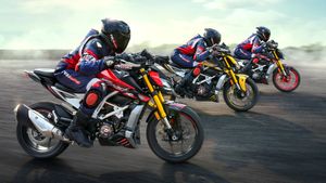 വിദേശ ബൈക്കുകളെ വെല്ലുന്ന ലുക്ക്, അഡാറ് മാറ്റങ്ങളുമായി ടിവിഎസിന്റെ പുതിയ അപ്പാച്ചെ RTR 310