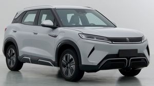 കുറഞ്ഞ വിലയുള്ള ഇലക്‌ട്രിക് എസ്‌യുവി പുറത്തിറക്കാൻ മസ്ക്കിന്റെ ശത്രു, ഇന്ത്യയിലും ടെസ്‌ലയെ അരിഞ്ഞുവീഴ്ത്തും