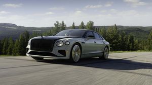 ബന്ധുവിനെ നാട്ടിലെത്തിക്കാൻ ഫോക്സ്‌വാഗൺ; പണക്കാരുടെ പ്രിയപ്പെട്ട ബ്രാൻഡ് ഇനി റോഡിലൂടെ ചീറിപായും