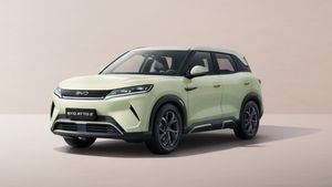 മാരുതി ഇ-വിറ്റാരയ്ക്ക് പണി കൊടുക്കാൻ ബിവൈഡി; അറ്റോ 2 ഉടനെത്തും