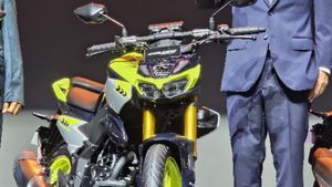 മിഡില്‍ക്ലാസിനായി ഹോണ്ടയുടെ സില്‍വര്‍ ജൂബിലി സമ്മാനം! കൊതിപ്പിക്കുന്ന വിലയില്‍ 'ബേബി' ഹോര്‍നെറ്റ് പുറത്തിറങ്ങി