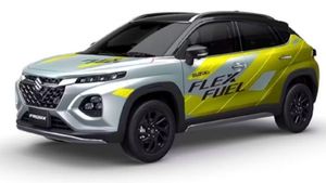 സര്‍ക്കാര്‍ പെട്രോളില്‍ എത്ര വേണമെങ്കിലും എഥനോള്‍ കലര്‍ത്തിക്കോട്ടെ, ഈ മാരുതി വാങ്ങിയാല്‍ പ്രശ്‌നമില്ല