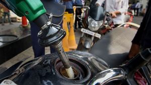 പഴയ വാഹനമുള്ളവര്‍ ജാഗ്രതൈ..! E20 പെട്രോളിനെ കുറിച്ചുള്ള ഞെട്ടിക്കുന്ന സര്‍വേ റിപ്പോര്‍ട്ട് പുറത്ത്