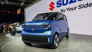 'ഇതാണോ പണിക്കര് പറഞ്ഞ സാധാരണക്കാരന്റെ മാരുതി ഇവി'? 270KM റേഞ്ച്, സുഖമായി കൊണ്ടുനടക്കാം