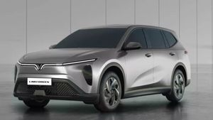 വിയറ്റ്നാമിൽ നിന്ന് ഇന്ത്യയിലേക്കുള്ള വൈദ്യുത വിസ്മയം! വിൻഫാസ്റ്റ് ലിമോ ഗ്രീൻ 7S ഉടൻ എത്തും