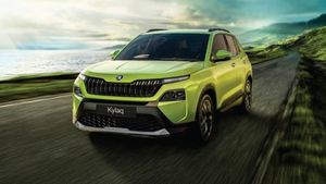 ഇത്ര കുറഞ്ഞ വിലയില്‍ സ്‌കോഡ കിട്ടിയാല്‍ ഇന്ത്യക്കാര്‍ വിടുമോ! 61% വില്‍പ്പന സംഭാവന ചെയ്യുന്ന തുറുപ്പുഗുലാന്‍