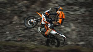 19,000 രൂപ കുറവ് മതി, 390 അഡ്വഞ്ചർ ബൈക്കിൻ്റെ പുത്തൻ വേരിയൻ്റുമായി കെടിഎം; ഹിമാലയന് പണിയാവും