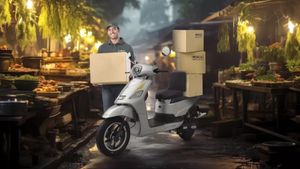 ബിസിനസ്സ് വളര്‍ത്താന്‍ ഇതാ ഒരു ഇലക്ട്രിക് സ്‌കൂട്ടര്‍; കുറഞ്ഞ ചിലവില്‍ കൂടുതല്‍ ദൂരം! വില വെറും ₹56551 മാത്രം