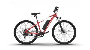 പെട്രോളും ഡീസലും കിട്ടാതാവുമോ? 50,000 രൂപയ്ക്ക് താഴെ വാങ്ങാൻ പറ്റുന്ന നല്ല ഇലക്‌ട്രിക് സൈക്കിളുകൾ നോക്കിവെച്ചോ