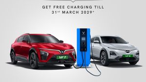 വണ്ടി വാങ്ങിയാല്‍ മാത്രം മതി, 2029 വരെ ചാര്‍ജിംഗ് ഫ്രീ! വിൻഫാസ്റ്റ് അല്ലാതാര് തരും ഈ ഓഫര്‍