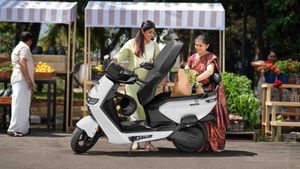 കമ്പനിയുടെ 77% വില്‍പ്പനയും ഒറ്റ മോഡല്‍! 2 വര്‍ഷം കൊണ്ട് 3 ലക്ഷം ഇന്ത്യന്‍ കുടുംബങ്ങളെ കൈയ്യിലെടുത്ത് റിസ്ത