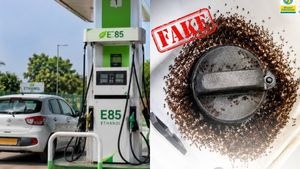E20 പെട്രോൾ അടിച്ചാൽ ടാങ്കിൽ ഉറുമ്പ് കയറുമോ? സോഷ്യൽ മീഡിയ പ്രചാരണത്തിന് പിന്നിലെ സത്യം അറിയാം