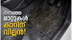 മറഞ്ഞിരിക്കുന്ന അപകടം, കാറിലെ നനഞ്ഞ മാറ്റുകൾ തരുന്ന പണികൾ