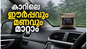 മഴക്കാലത്ത് കാറിനുള്ളിലെ ഈർപ്പം കുറയ്ക്കണോ? ഈ കാര്യങ്ങൾ ശ്രദ്ധിച്ചാൽ മതി