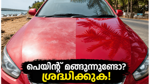 ഈർപ്പവും ചൂടും കൂടുതലുള്ള സ്ഥലങ്ങളിൽ വാഹനത്തിന്റെ പെയിന്റ് വേഗം മങ്ങുന്നതിന്റെ കാരണം അറിയുമോ?