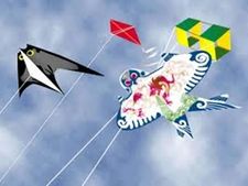 சென்னையில் மாஞ்சா நூல் கழுத்தை அறுத்து பைக்கில் சென்ற வாலிபர் பலி