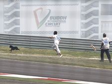 ரேஸ்டிராக்கில் தெருநாய் ஓடி வருவதை தடுக்க சிறப்பு ஏற்பாடுகள்